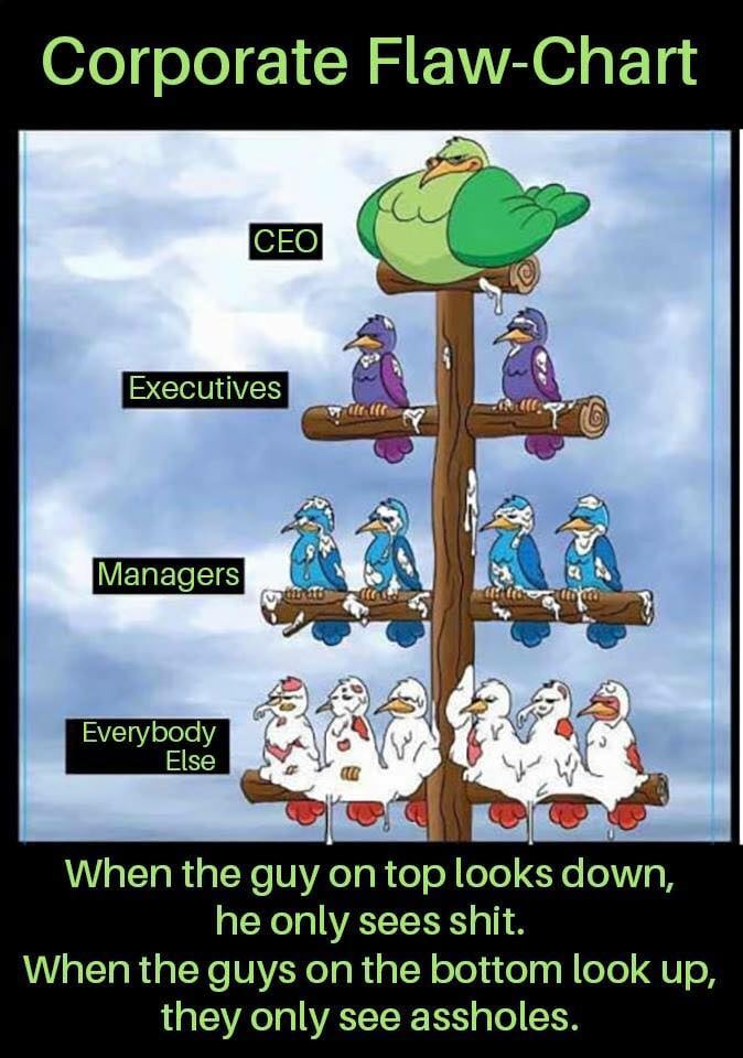 hierarchy